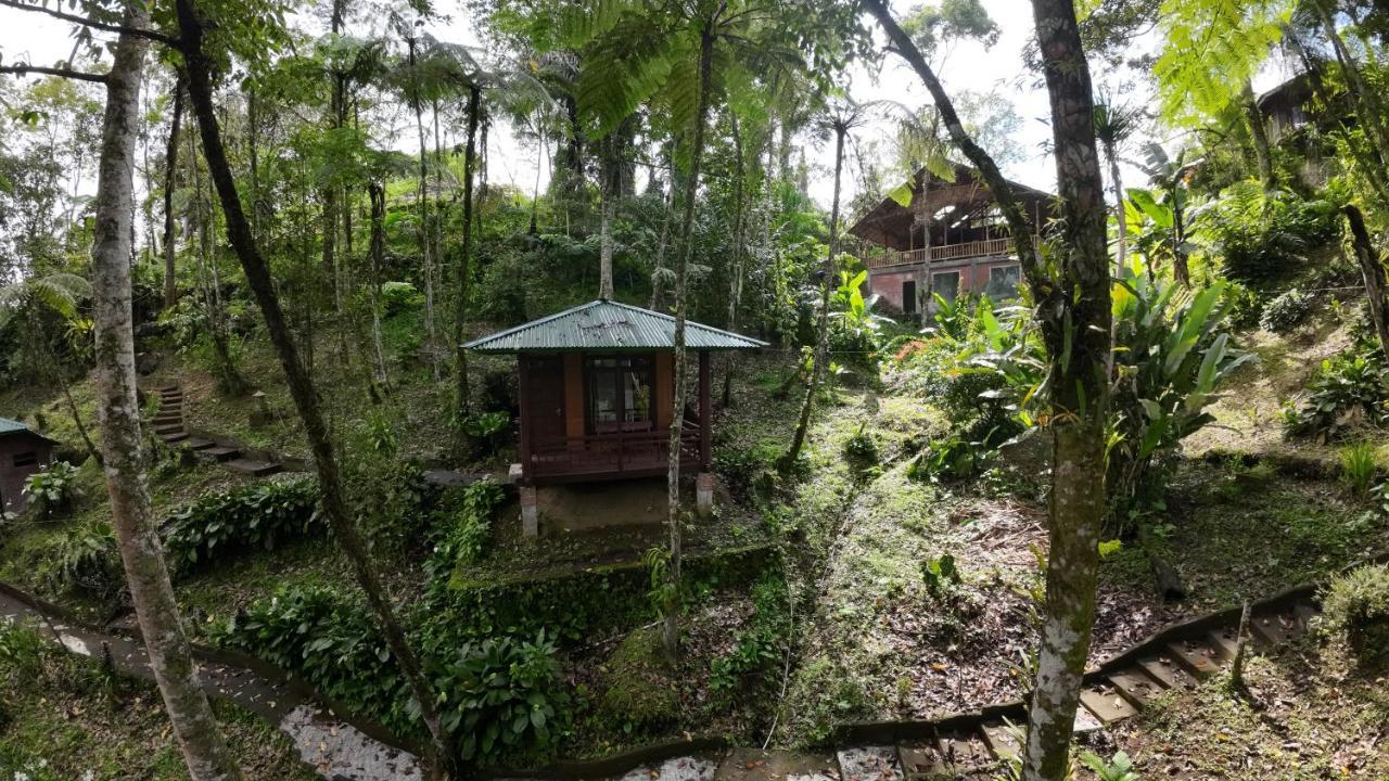 Rimba Eco Resort Tomohon Экстерьер фото