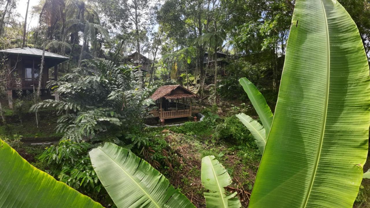 Rimba Eco Resort Tomohon Экстерьер фото