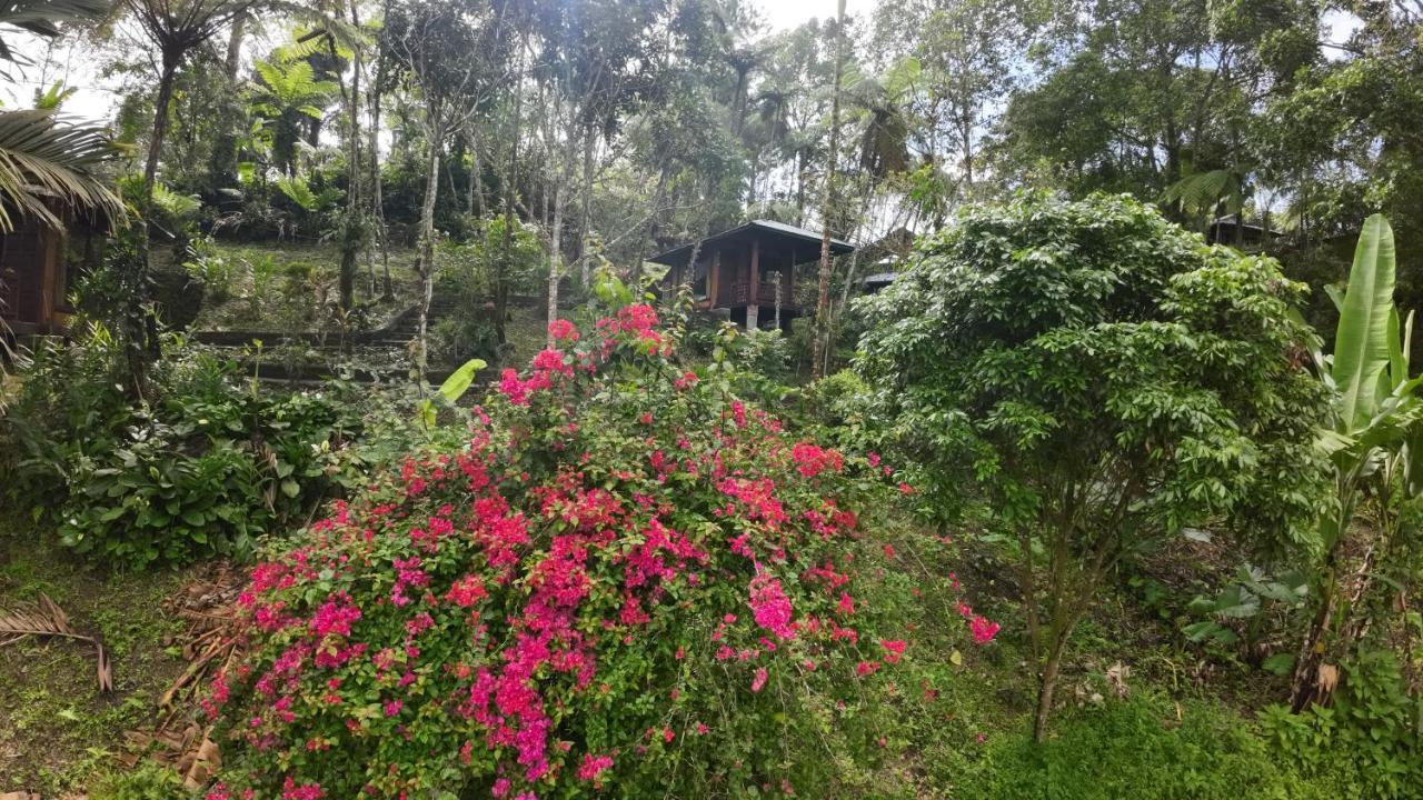 Rimba Eco Resort Tomohon Экстерьер фото