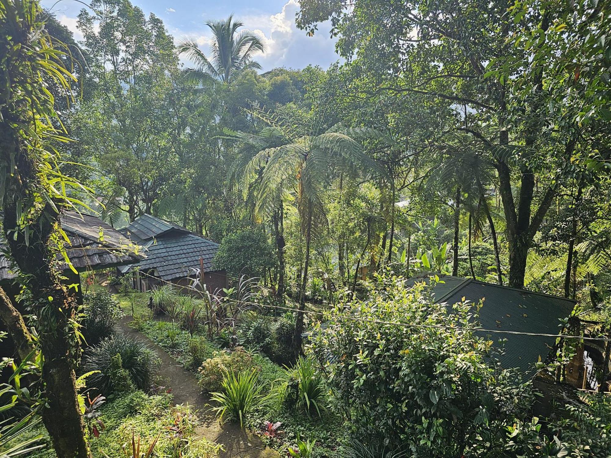 Rimba Eco Resort Tomohon Экстерьер фото